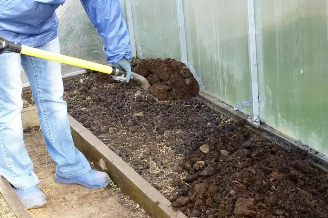 Осенние секреты доброго урожая в теплице