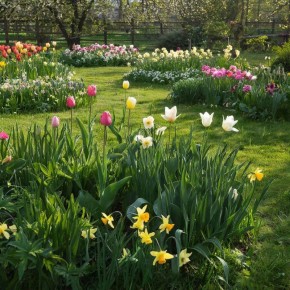 ������ � ��������� ����� ��� ������ � ����� � ����