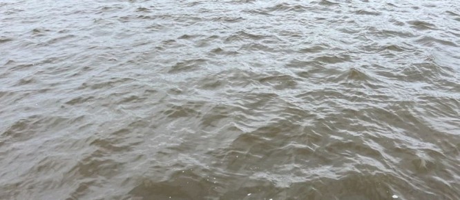 Уровень воды резко поднялся в реках Вологодского округа