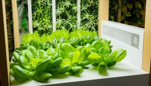 �����������: ����� ������ �� ��������������� �������� ��� �����