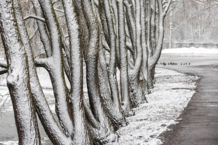 ������� ����������� ������ ������� ����������� ������� ���� �����