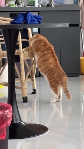 Днём +3° +8°, небольшие осадки (мокрый снег, дождь)