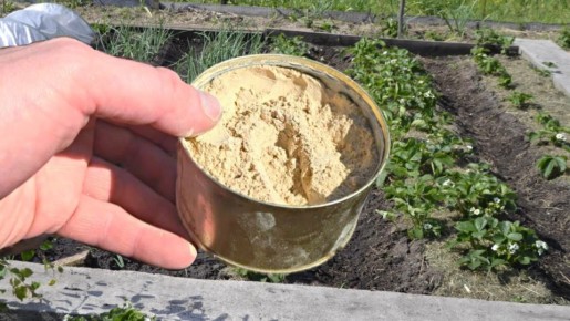 ������ �������������� ���������, ������� ���������� ���� ����� ����� �� �������