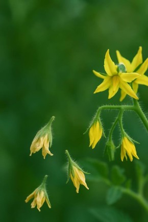 ������ � ������� ������� ������ � ��� ��� �������������?