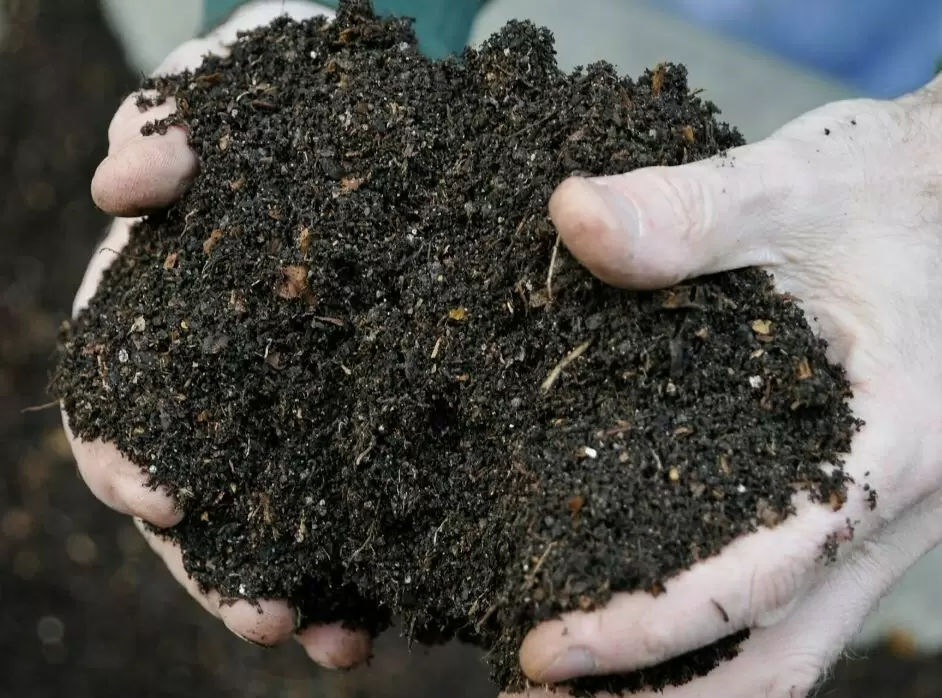 Компост за месяц: инновационные подходы к быстрому разложению отходов