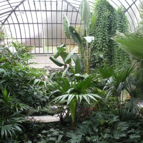 ��� ������� ������ ��� �� �������: ������������ ������ ��� ������ �������� ������