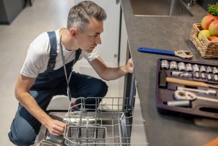 Коды ошибок посудомоечных машин: как самостоятельно решить популярные проблемы