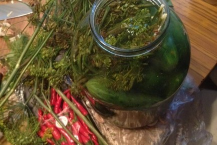 Как приготовить аппетитные соленые огурцы с эстрагоном: секреты и рецепты