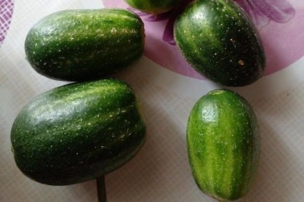 ���������� ������ �������: ��� ����� ����� �����������