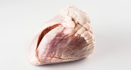 ������ ������: ������� ������������� ������������ � ���������� ������