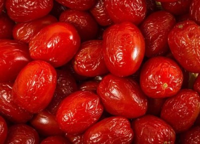 ����� �����: ������ �������� � ���������� �� ����� �������