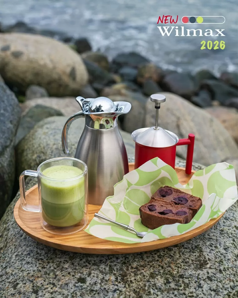 Ощущение новой простоты в доме: компактные Wilmax 2026 и практичные мелочи