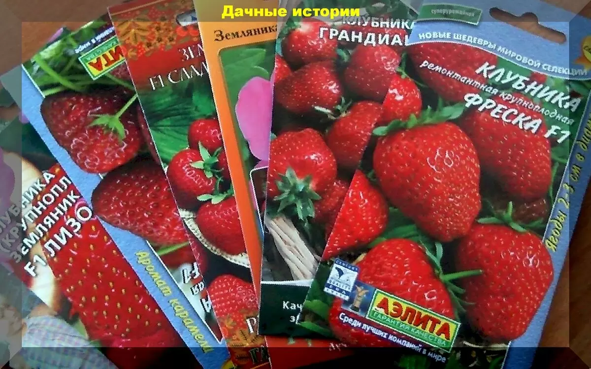 Почему клубника из семян – это не всегда удача