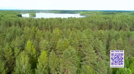 ��������� ��������� � ���������� ������ ������ �� ���� ������� � ���