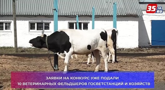 ������� ������������� ��������� ������� � ����������� �������