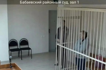 В Бабаевском округе осуждена 43-летняя женщина, которая вместе с сожителем более двух лет держала на цепи свою 65-летнюю мать