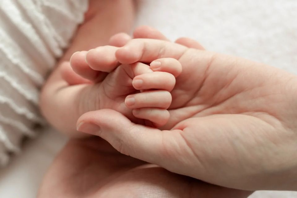 ����������� ������� ����� � ���-4 ���� �� ������������ �����������