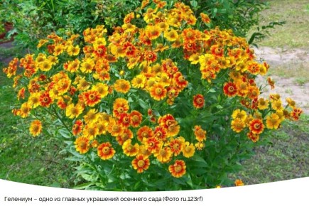 ��������: ����� ��������� ������ �������� ����