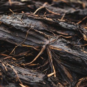 ���� ��� ������ ��������� �������: ��� ����� ����� ��������