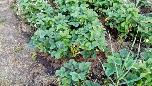 �������� ���� �� ���������: ������� ��������� �������������� ����� ����