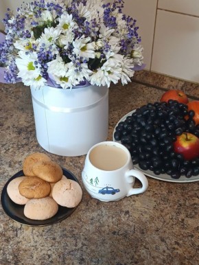 ��������� ������� �� ������: ������, ������ � ������!