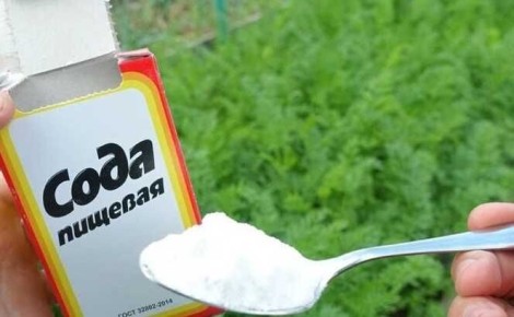 ������� ����: ������������� �������� ��� ������ ��������