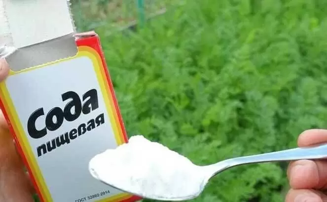 Пищевая сода: универсальное средство для защиты растений