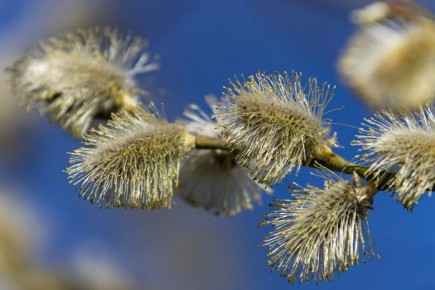 ������ �������� � ��� ����� ������, �� ����� ������ ������ ����� �����