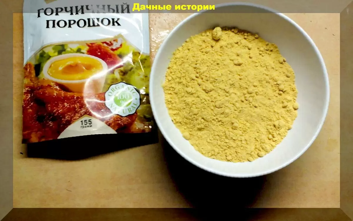 Безопасная и эффективная подготовка теплицы к новому сезону