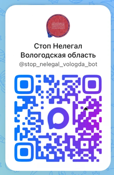 В Вологодской области заработал чат-бот в мессенджере «МАХ», где можно анонимно передать информацию о нарушениях миграционного законодательства