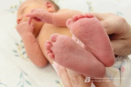 ����������� ������� ������ ������ ����� � ������ �� �������� ���������� ������������ ����������� (���)