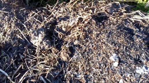 ��� �������� ������ ������ � ��������� ����� ��������� ���������� ���������