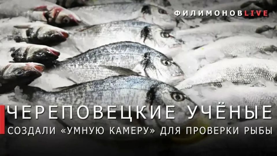 ������� ���������: ������ �� ��������� ������� ������� �������� ��������� �������� ����