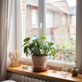 ��� ��������� ��������� �������� ��������: ������� ��������