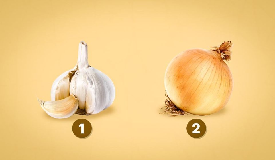 ���������� ��������������� ����: ��������, ������ �� ��������� ������������