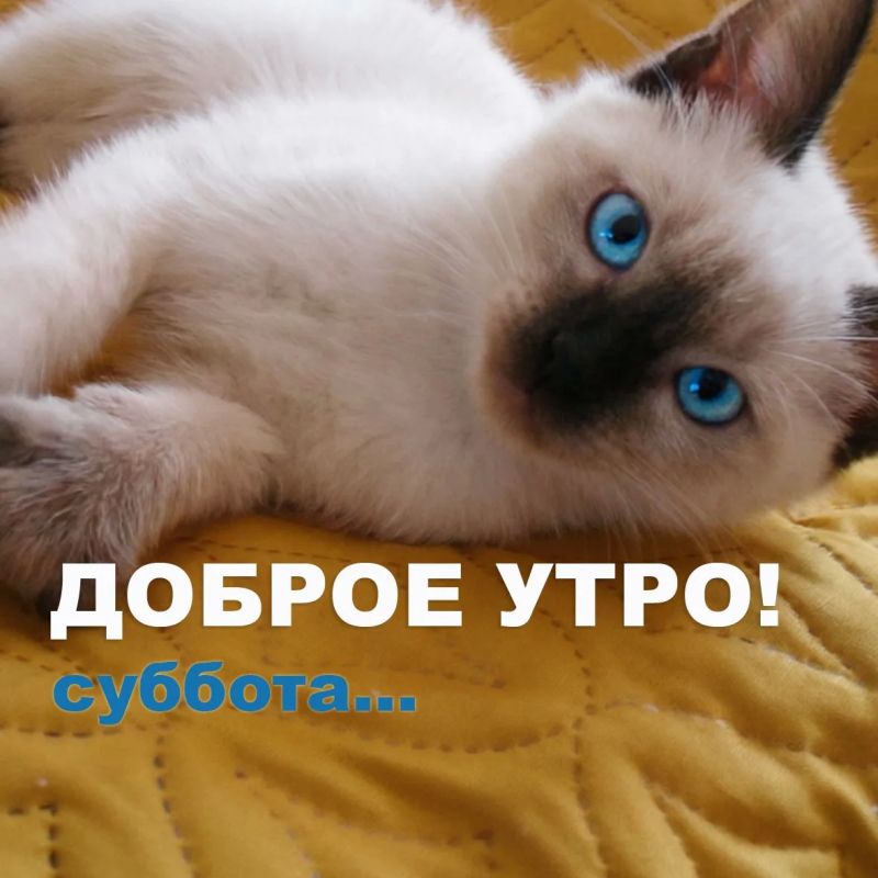 �������� - ����� ���������, ��������������� � ����������� �� �������