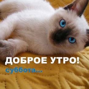 �������� - ����� ���������, ��������������� � ����������� �� �������