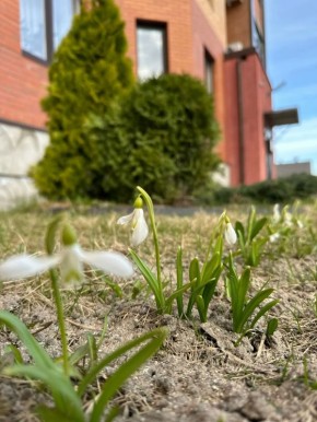 ����������� � ��������� ������� ����� ����� �������� ��������� ����������