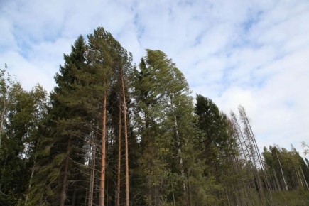 � ������ �������� 2026 ���� � ����������� ������� ��������� ����� 3,7 ���