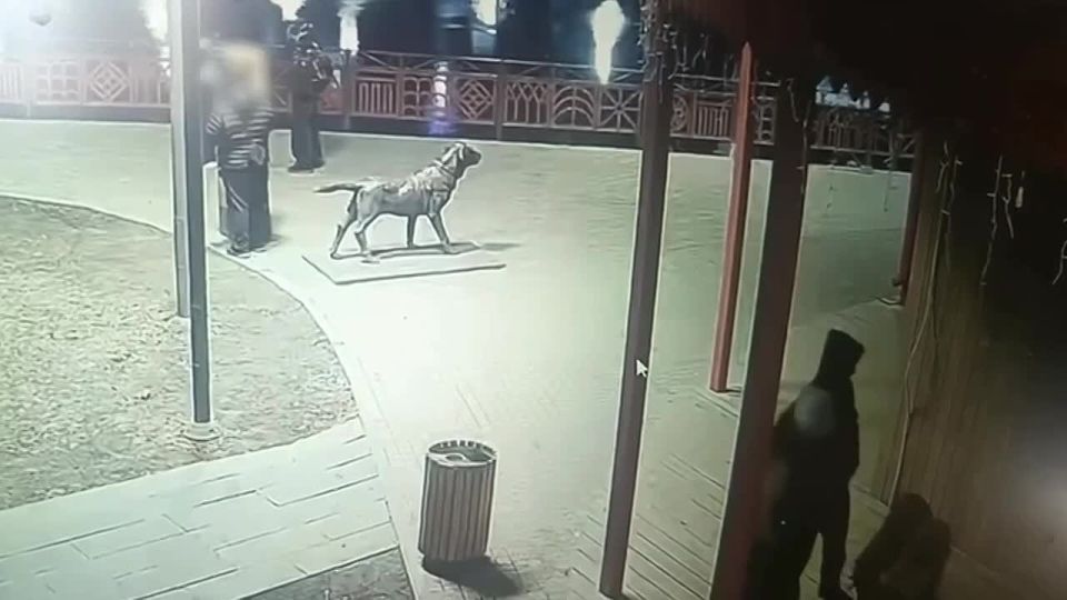 ��� ������ ������� ������� � ����������� ����� �������