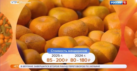 ��������� � ���������� ����������: ����� ���� ����� � �������