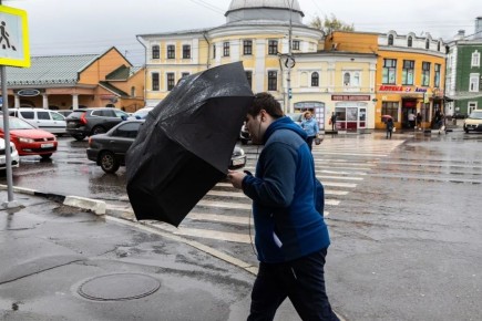 �������� ����������� �� �����������: ��������� �����, ������ ����, ������� �����