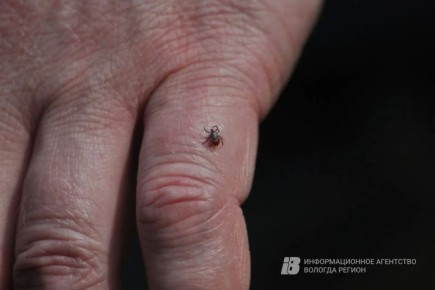 636 ������� ���������� �� ������ ������ � ����������� ������� � ������ ������, �� ��� 156 �����