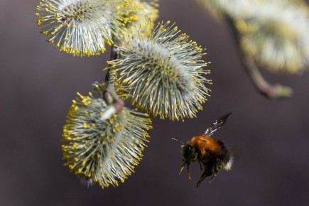 ���� +10� +15�, �������� � ������������ ������, ������� ��������� �����