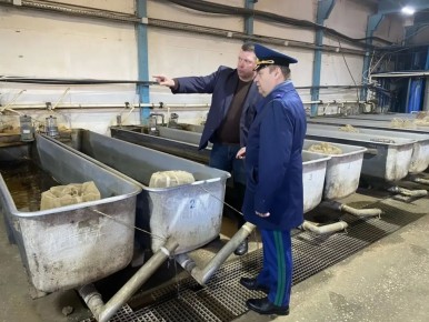 �������� ����������� ������� ������ ��������� ������� ��� ������������ ����� ������