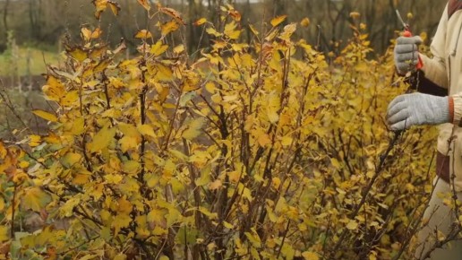 ���������� ��������� � ����: ������� ��������� ����� � ������� ������