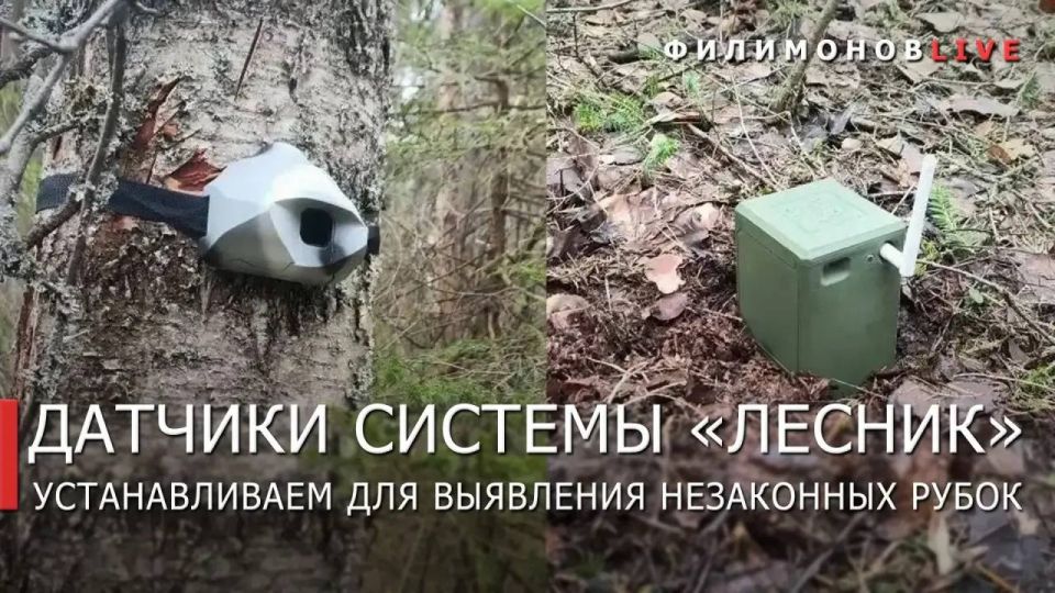 ������� ���������: ������� ��� ������ � ����������� ������� ������ ������������� � ����� �����������