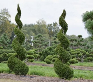 ��� ������� ������������� ���: ��������� ����������� ��� ��������� ����