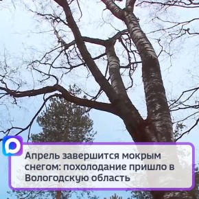 �������, 27 ������, ������ �������� �� ������ ��������� �����