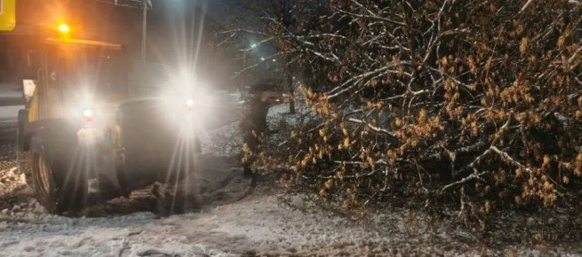 ������ ���������: � ���������� �������� � ��������� ������������� ������ ������� ��������